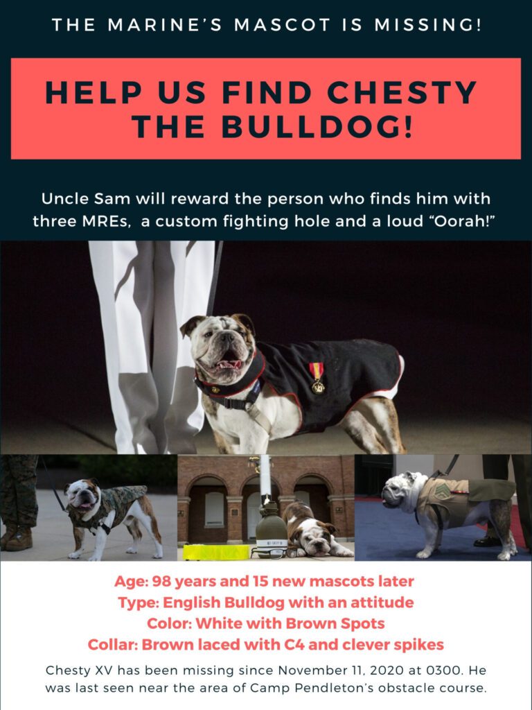 Chesty XV is the Marine Corps Mascot and has gone missing.
