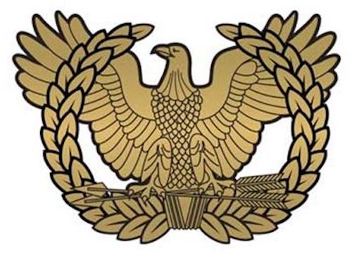 army warrant officer crest is the rising eagle