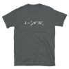 Gray unisex t-shirt with the aerodynamic lift equation on the front. The Frontlines military shirt is available in all sizes.